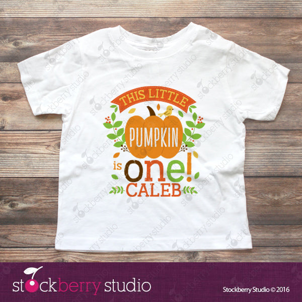 Fall Pumpkin Birthday T-Shirt