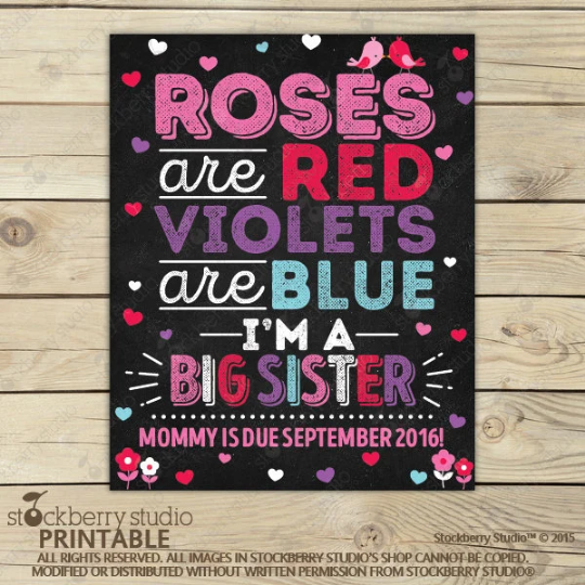 Valentine's Day Big Sister Announcement Sign